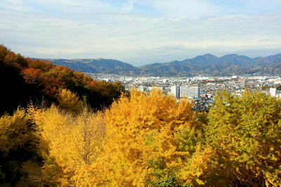 IMG_1789-2.jpg