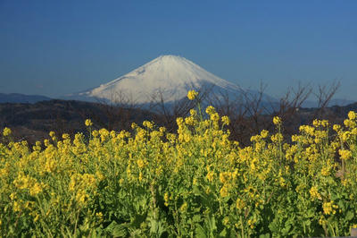 IMG_3610-1.jpg