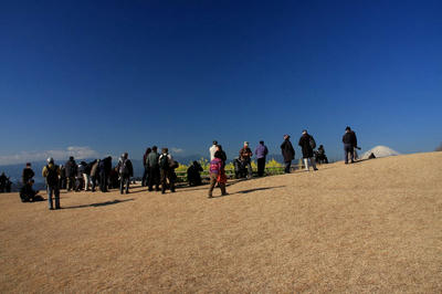 IMG_3628-1.jpg