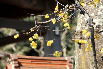 IMG_3967-1.jpg