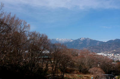 IMG_4298-1.jpg