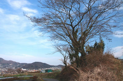 IMG_4309-1.jpg