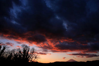 IMG_3882-1.jpg