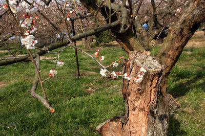IMG_4608-1.jpg