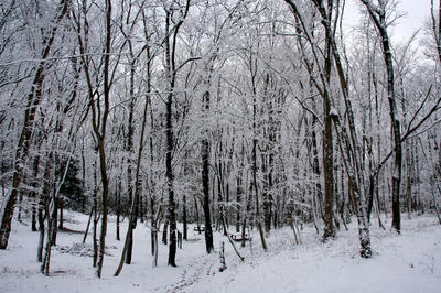 IMG_4805-1.jpg