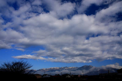 IMG_4491-1.jpg