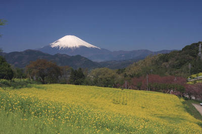 IMG_7688-1.jpg