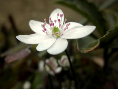 P3090098-1.jpg