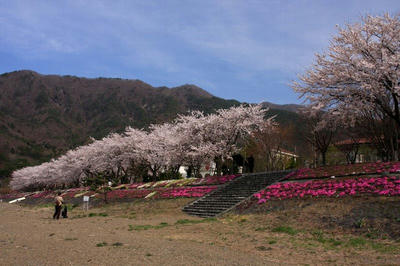 IMG_7902-1.jpg