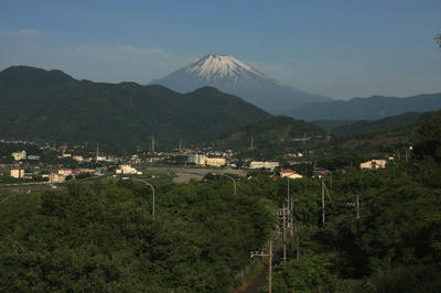 IMG_9499-1.jpg