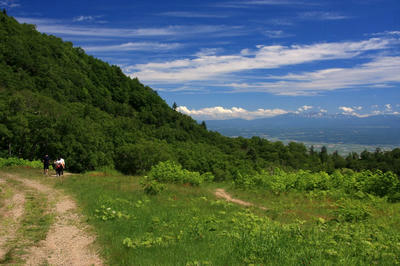 IMG_8562-2.jpg