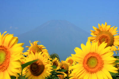 IMG_9687-1.jpg