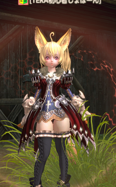 TERA_ScreenShot_20120817_004125.png