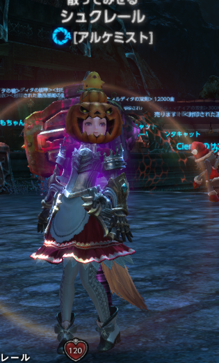 TERA_ScreenShot_20121018_070833.png