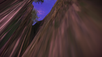 TERA_ScreenShot_20121206_002838.png