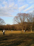 代々木公園