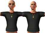 H43