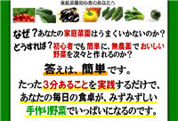 ３分ではじめる！簡単ベランダ家庭菜園「ハッピーベジタブル」