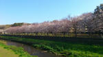 120408_2.JPG