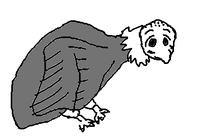 fimg_1234379890.png