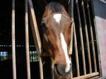 DSCN0542.JPG