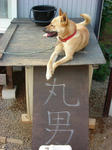DSCN0655.JPG