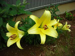 DSCN0648.JPG