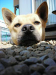 DSCN1143.JPG