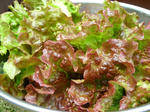 DSCN1180.JPG