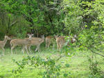 DSC01121.JPG