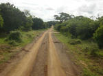 DSC01118.JPG