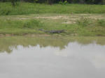 DSC01123.JPG