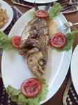 D1000035.JPG