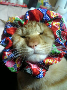 shushu.jpg