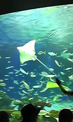 111103_164719.jpg