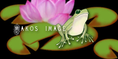 09-6-11-3.jpg