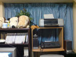 f92e3877.JPG