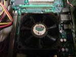 SN380083.JPG
