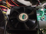 SN380085.JPG