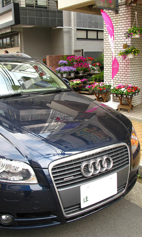 05_audia401.jpg