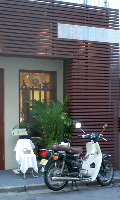 08_cub01.jpg