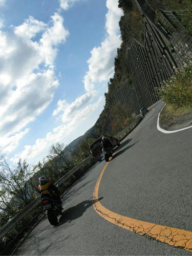 11_tsubaki01.jpg