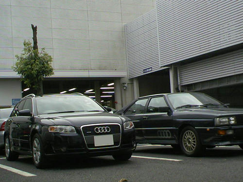 10_TS3E1135.jpg