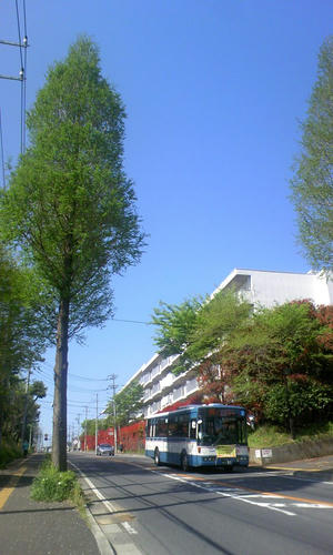 TS3E1549.JPG