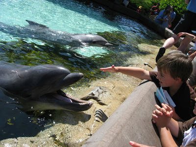 seaworld_1.jpg