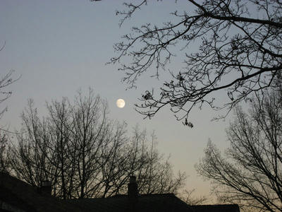moon.jpg