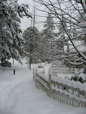 snow_1.jpg