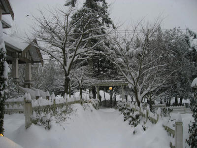 snow_2.jpg
