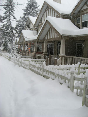 snow_4.jpg