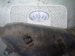 DSC03274.JPG